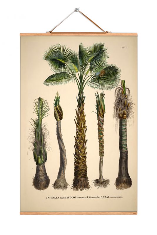 Palm Trees South America Poster No 89 eicie EINZELSTÜCK